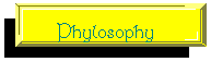 Phylosophy