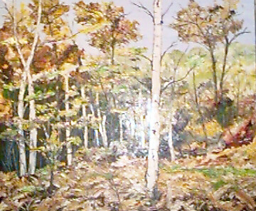ar02.JPG (72385 octets)