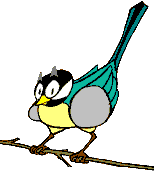 Dessinmesange.gif (2157 octets)