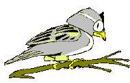 Dessinmoineau.gif (2003 octets)