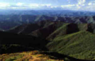 cevennes.jpg (7032 octets)